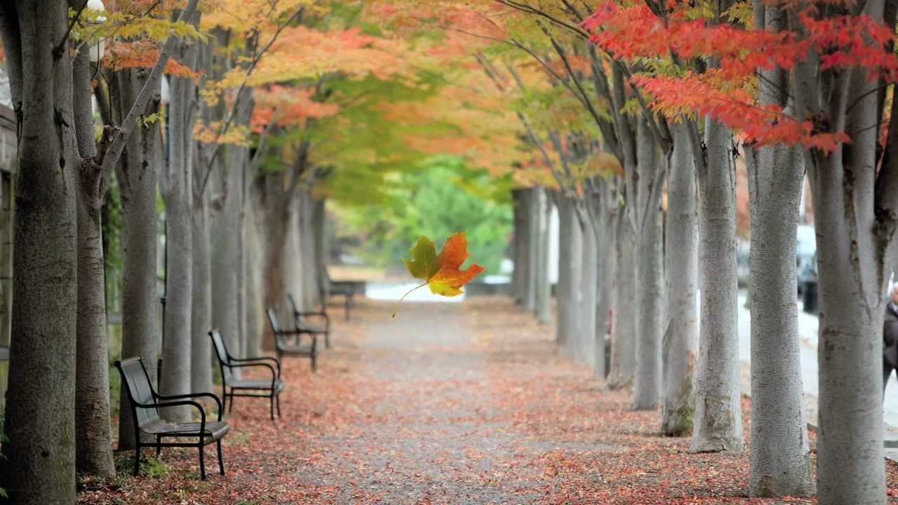 Công Thức Nào Chinh Phục Ivy League?