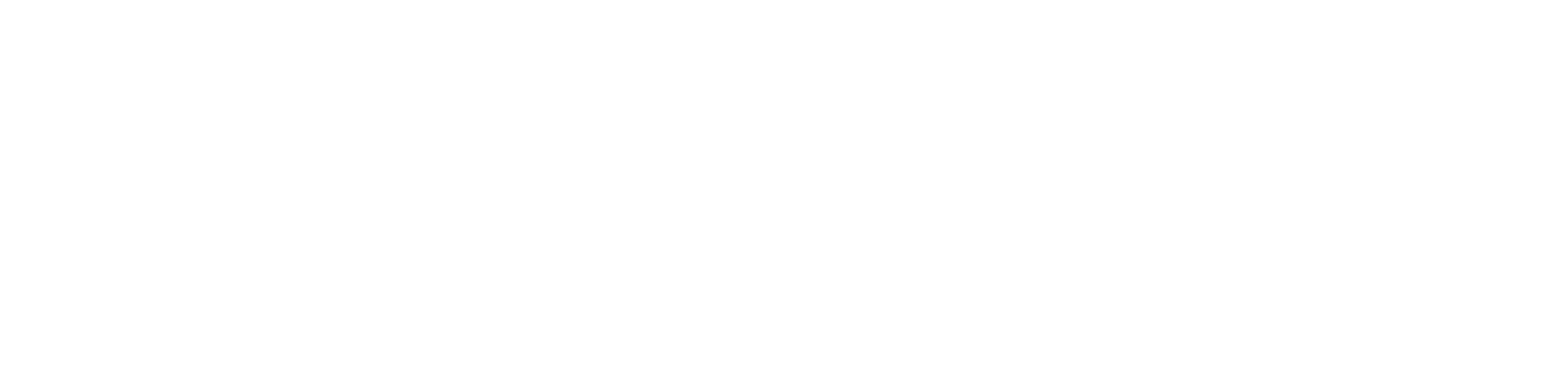 Elite Pass